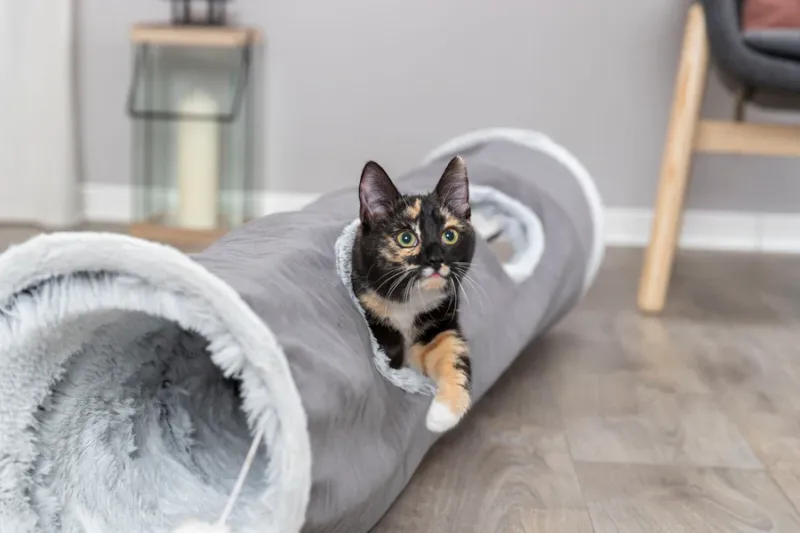 Spieltunnel Harvey