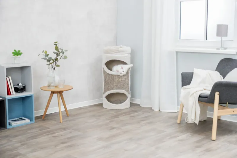 Preview: Cat Tower Gracia