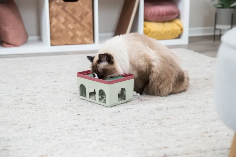 Preview: Rod Box Katzenspiel
