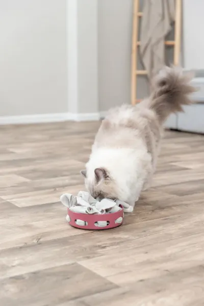Preview: Hide'n'Sniff Bowl