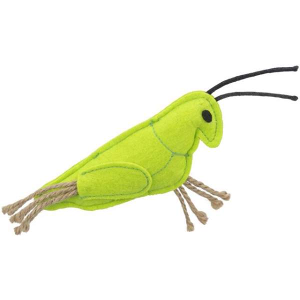 Preview: Insekten
