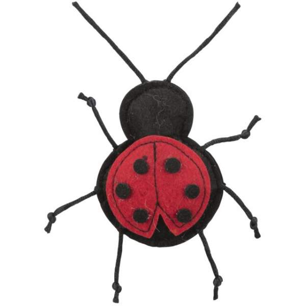 Preview: Insekten