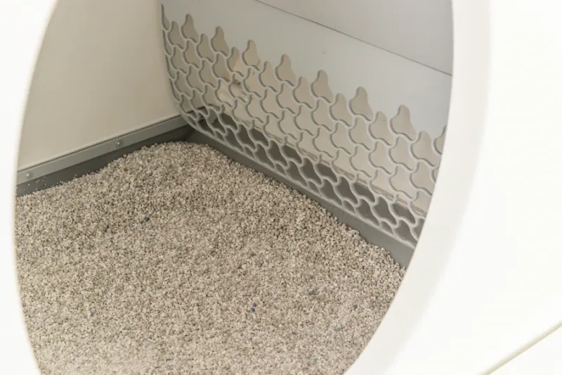 Selbstreinigende Katzentoilette