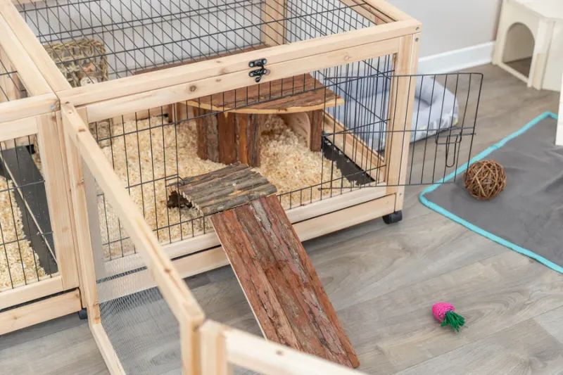 Indoor Gehege
