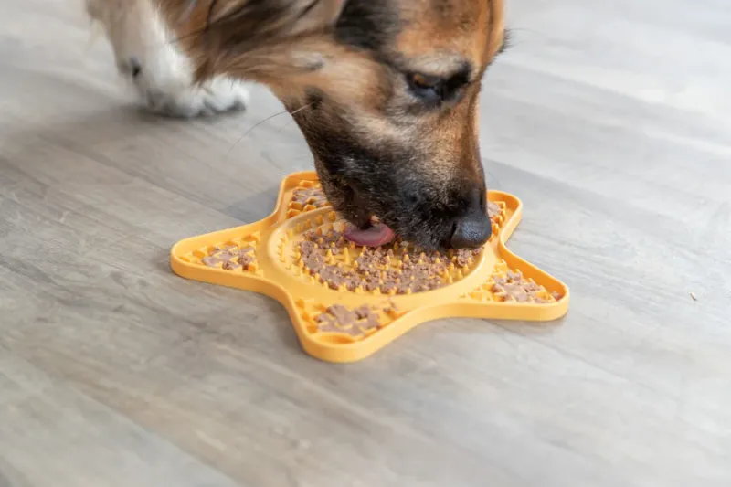 Preview: Lick’n'Snack Matte