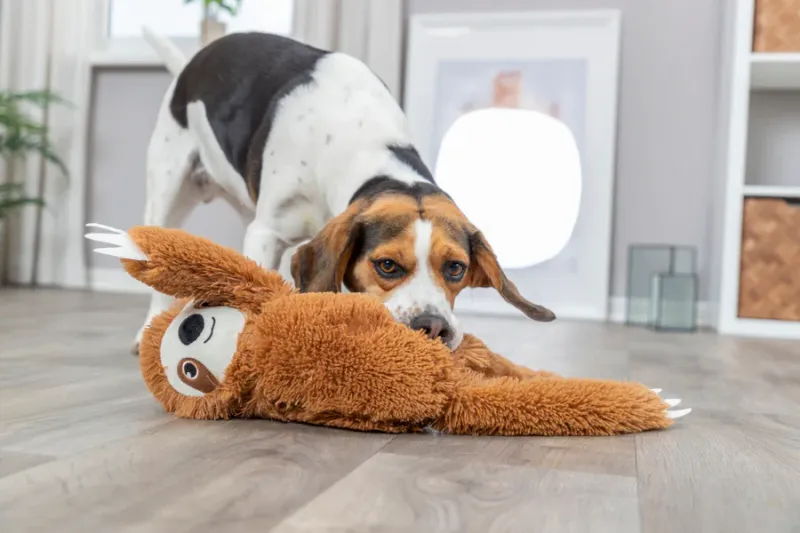 Preview: Faultier, Plüsch 56 cm