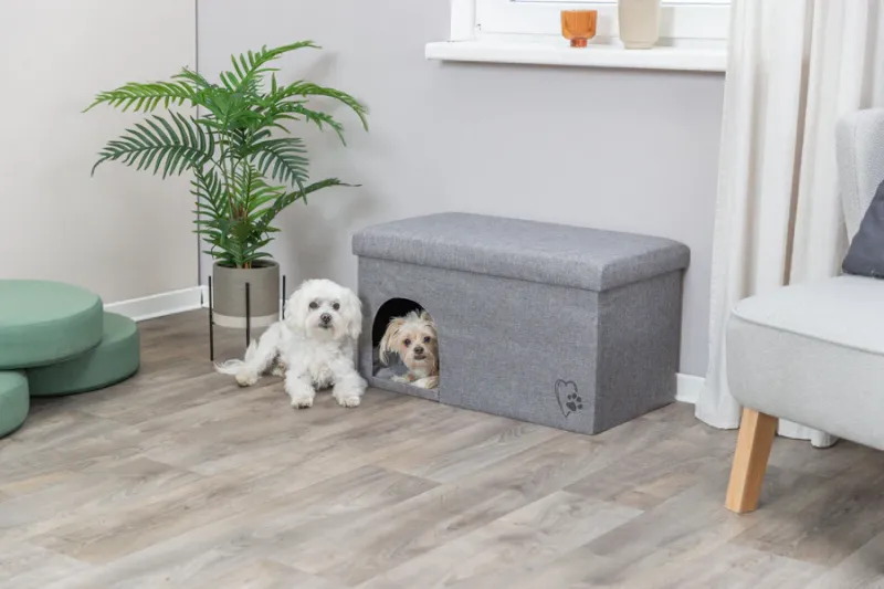 Preview: Höhle Kimy