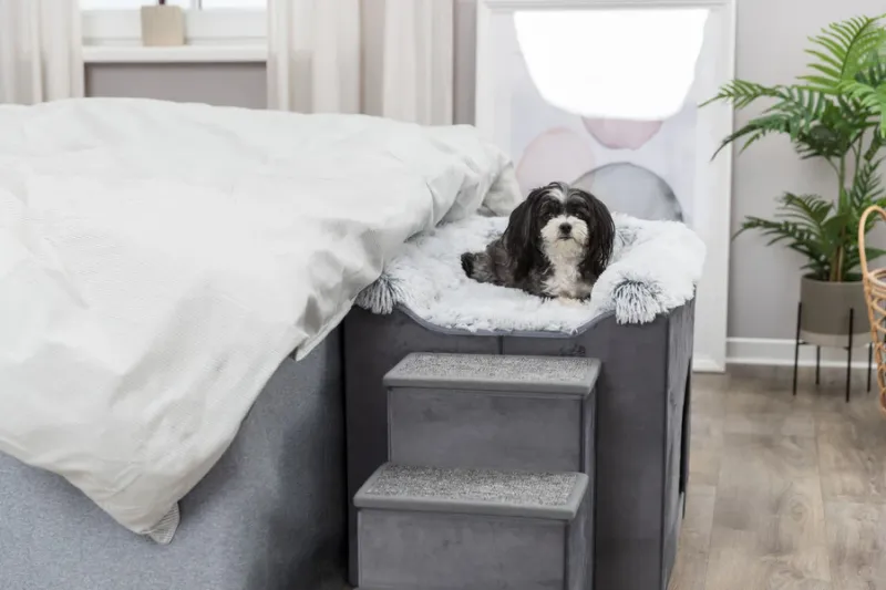 Preview: Höhle Harvey mit Treppe für Hunde