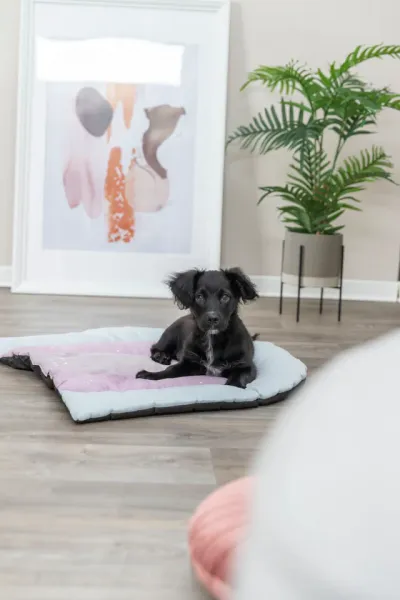 Preview: Junior Liegematte Patchwork