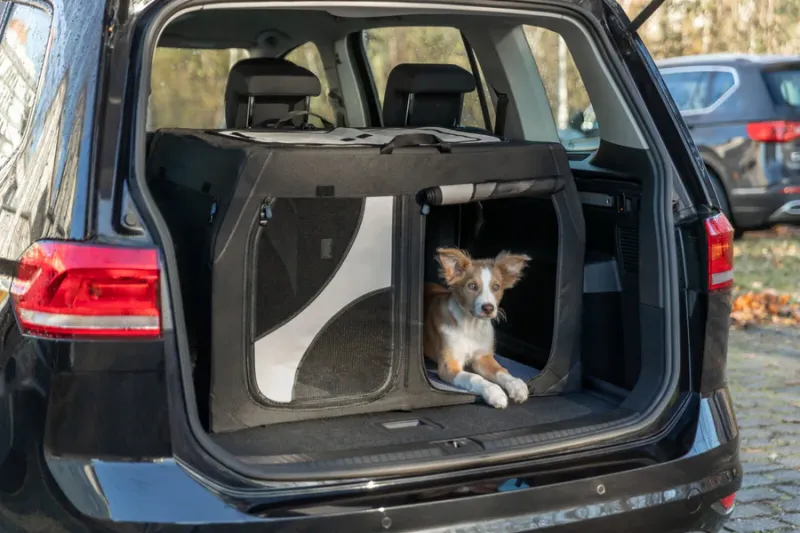 Preview: Hundebox Vario Double