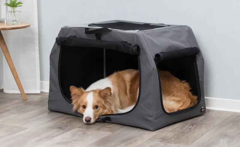 Hundebox Easy