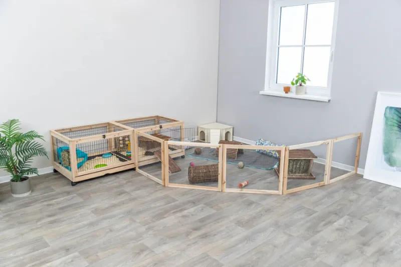 Indoor Gehege