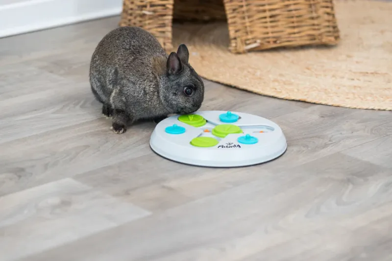 Preview: Strategiespiel Slide & Fun Board