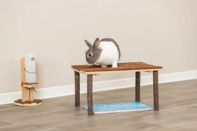 Preview: Unterstand und Liegeplatz