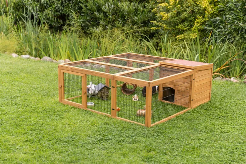 Preview: Freilaufgehege mit Abdeckung