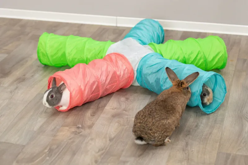 Preview: Spieltunnel