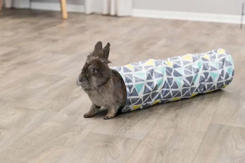 Preview: Kuscheltunnel Sunny