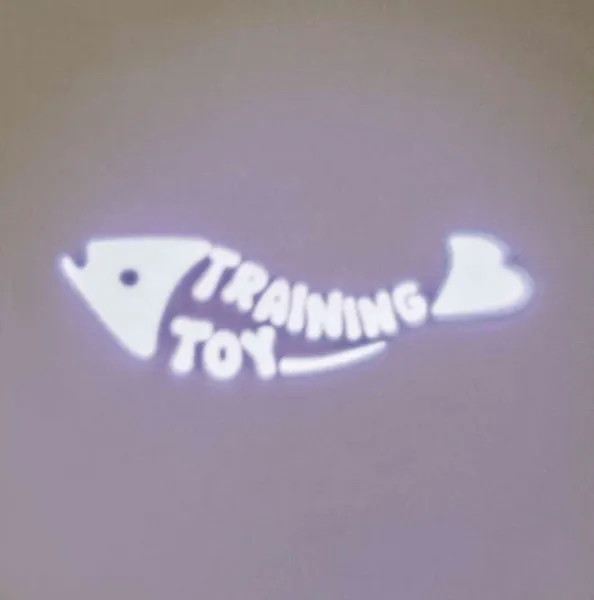 Preview: LED Pointer Catch the Light, Fisch
