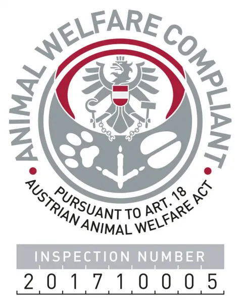 Preview: Mini Solitär Strategiespiel