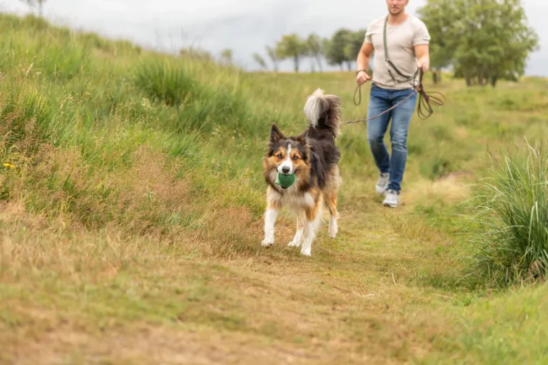 Preview: Kugelfisch, TPR