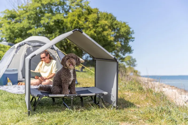 Preview: Überdachung