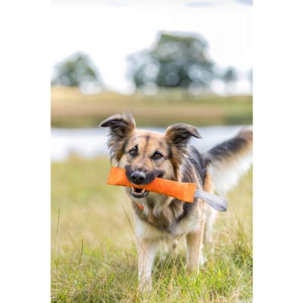 Preview: Trainings-Dummy