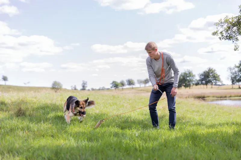 Preview: Reizangel für Hunde