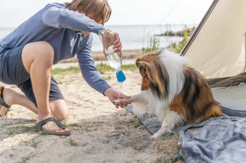 Preview: Mobile Hundedusche