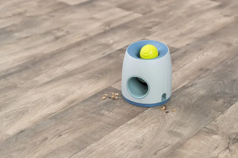 Preview: Ball & Treat