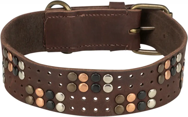 Preview: Rustic Fettleder-Halsband Nieten, extra breit
