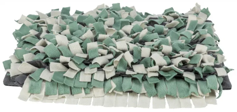 Strategie-Spiel Schnüffelteppich