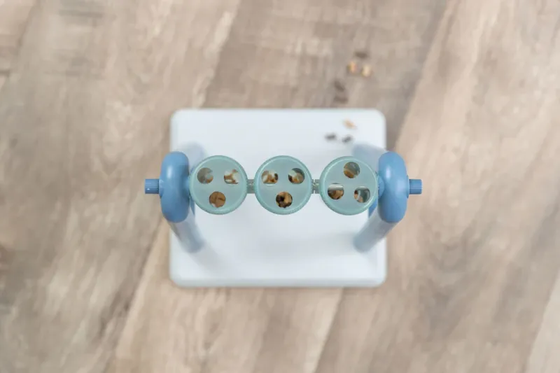 Preview: Turn Around Strategiespiel