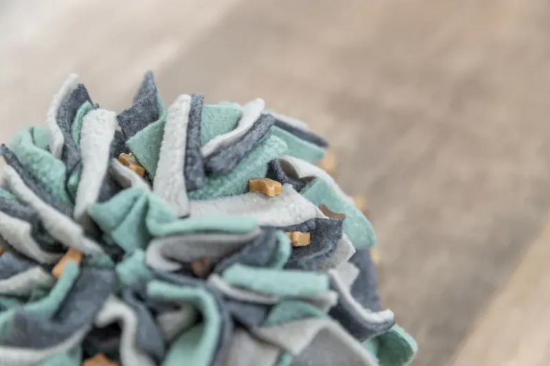 Preview: Schnüffelball