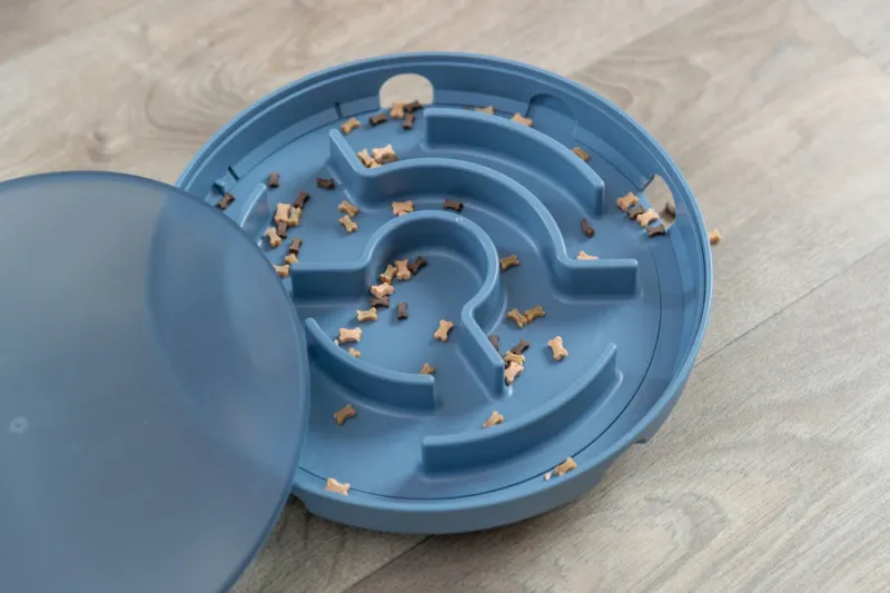 Preview: Rocking Maze