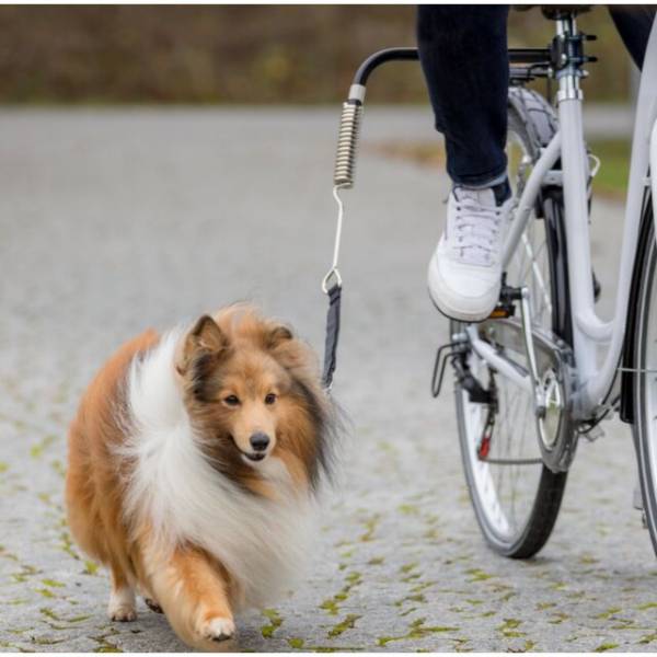 Hunde Biker-Set