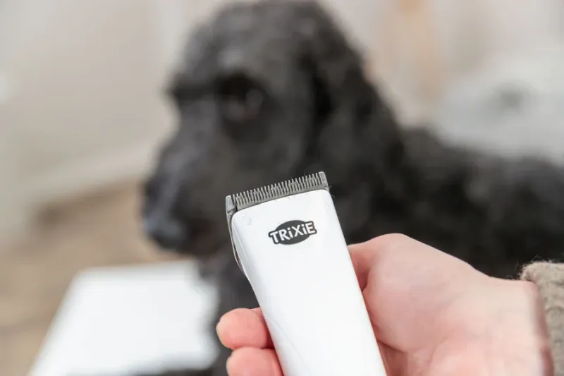 Akku-Schermaschine TR1600