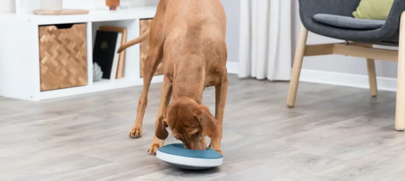 Slow Feeding Napf Rocking Bowl