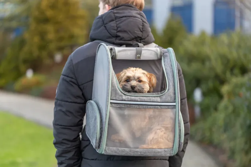 Rucksack Chloe