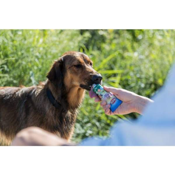 Preview: Leberwurst mit Hanf