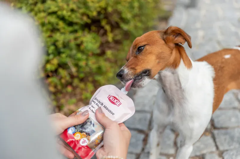 Preview: Snack Mousse mit Rind