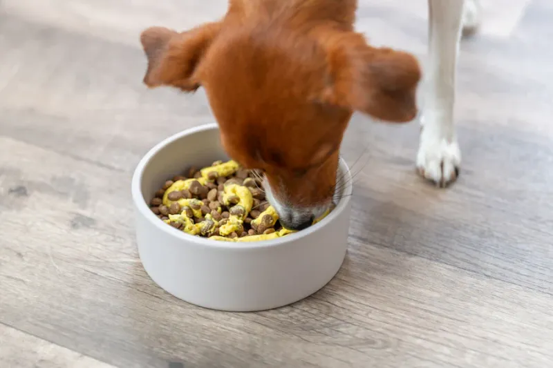 Preview: Veggie-Topping