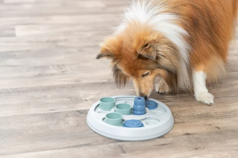 Preview: Flip & Fun Strategiespiel