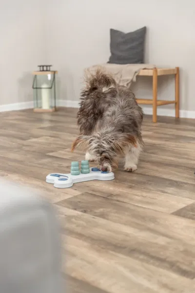 Preview: Flip Bone Strategiespiel