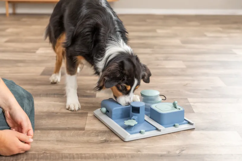 Preview: Poker Box 2 Strategiespiel