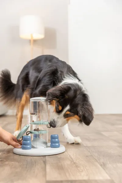 Preview: Gambling Tower Strategiespiel