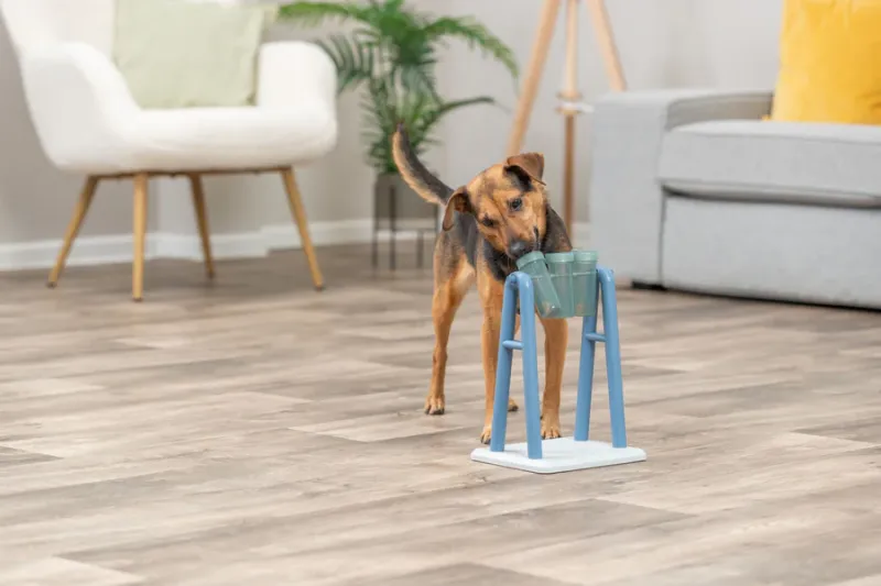 Preview: Turn Around Strategiespiel