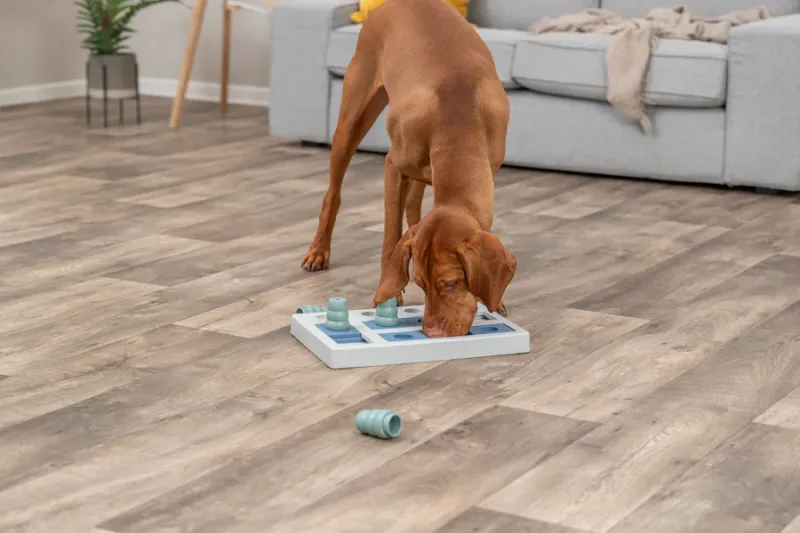 Preview: Chess Strategiespiel