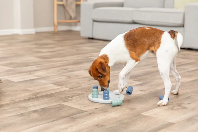 Preview: Mini Solitär Strategiespiel