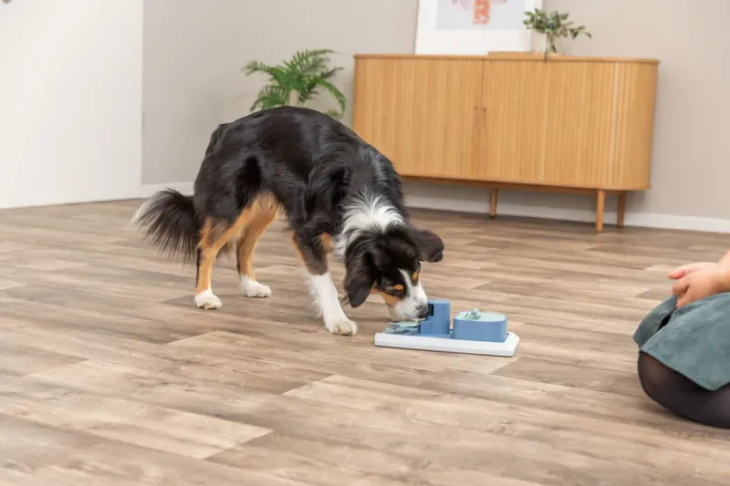 Preview: Poker Box Vario Strategiespiel