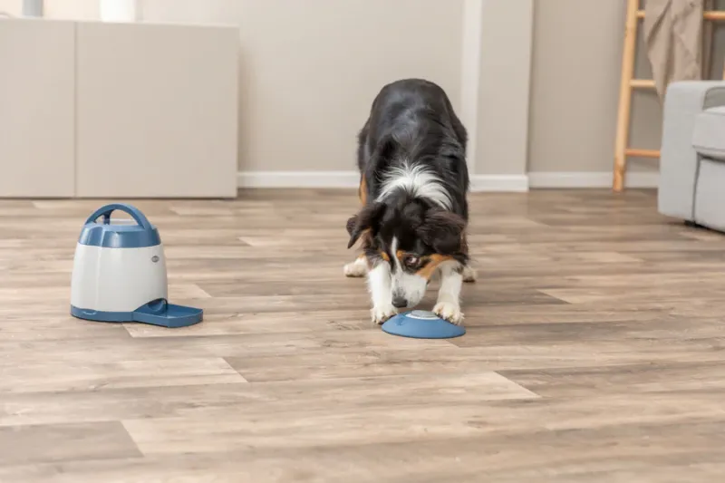 Memory Trainer 3.0 Strategiespiel